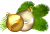elka.png elka.png